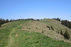 DSCN3555