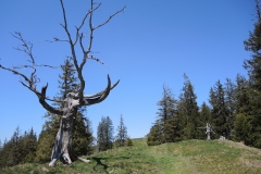 DSCN3557