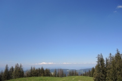 DSCN3560