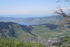 DSCN3566