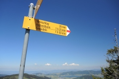 DSCN3567