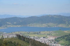 DSCN3568