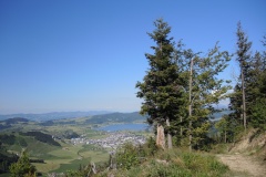 DSCN3571