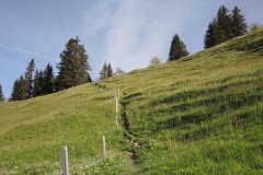 DSCN2124