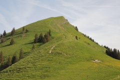 DSCN2130