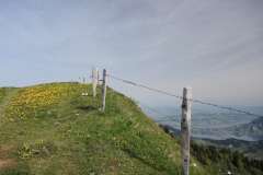 DSCN2136