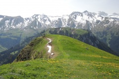 DSCN2165