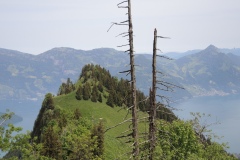 DSCN2174