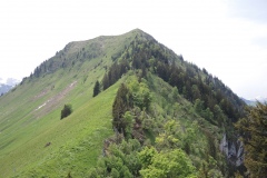 DSCN2176
