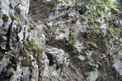 DSCN2182