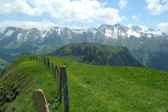 DSCN2533