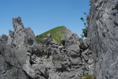 DSCN2545