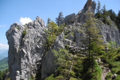 DSCN2548