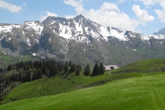 DSCN2554