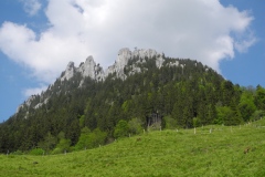 DSCN2561