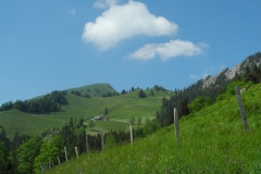 DSCN2562