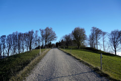 DSC06160