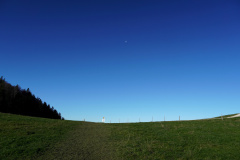 DSC06175