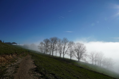 DSC06218