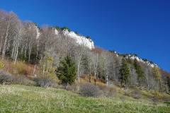 DSC06219