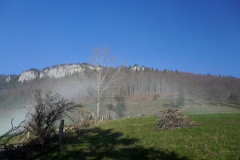 DSC06226