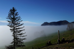 DSC06233