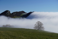 DSC06240