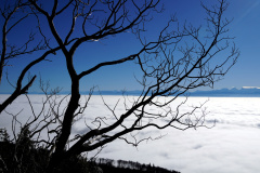 DSC06250