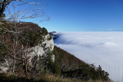 DSC06296