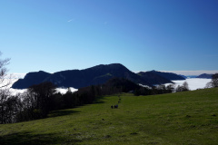 DSC06312