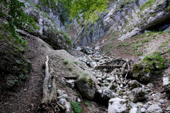 DSC04079