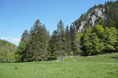 DSC04094