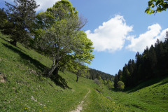 DSC04098