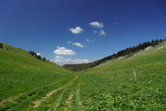 DSC04101