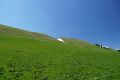 DSC04105