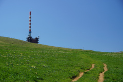 DSC04113