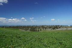 DSC04117