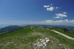 DSC04141