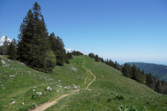 DSC04168