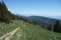 DSC04169