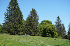 DSC04172