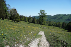 DSC04173