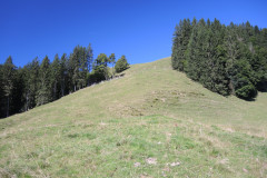DSCN5005
