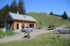 DSCN5008