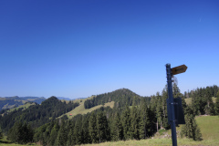 DSCN5009