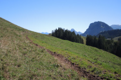 DSCN5014