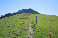 DSCN5018