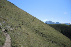 DSCN5024