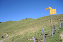 DSCN5026