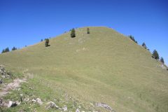 DSCN5037